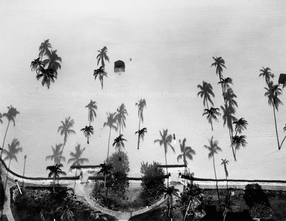 florida beaches with palm trees. Florida+eaches+with+palm+