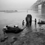 Bathing Elephants, One with Heart-Painted Trunk Gandak River, 1996. India. copyright photographer Marilyn Bridges 