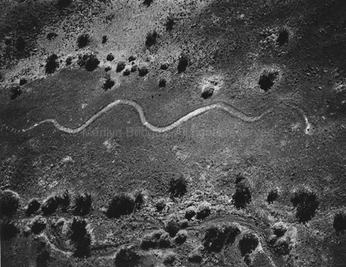 Parker Rattlesnake, Parker, Arizona, 1983. Native America. copyright photographer Marilyn Bridges.