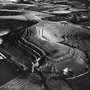 Hambleton Hill Fort Dorset. copyright photographer Marilyn Bridges