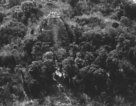 Coba, Castillo, 1982. Mexico. copyright photographer Marilyn Bridges
