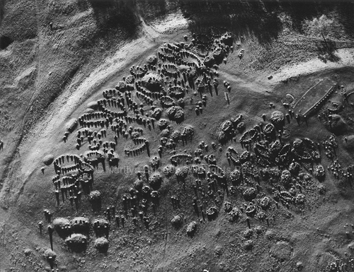 Lindholm Hoje, Viking Cemetery, Denmark, 1995. copyright photographer Marilyn Bridges