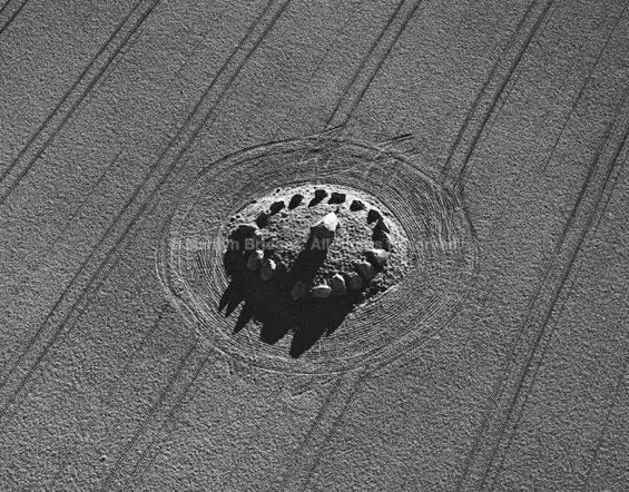 Vielsted Rundysse, Denmark, 1995. copyright photographer Marilyn Bridges