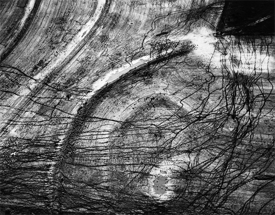 Cattle Tracks, Quartz Mountain, Oklahoma, 1987. USA Midwest. copyright photographer Marilyn Bridges.