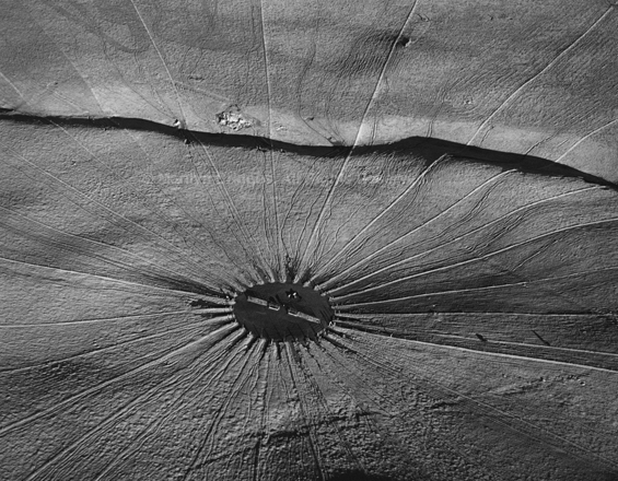 Cattle Feeding, Parker Ranch, Hawaii, 1990. USA West. copyright photographer Marilyn Bridges.
