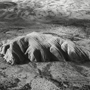 Uluru (Ayers Rock), Central Australia, 1999. Australia. copyright photographer Marilyn Bridges
http://www.marilynbridges.com copyright photographer Marilyn Bridges