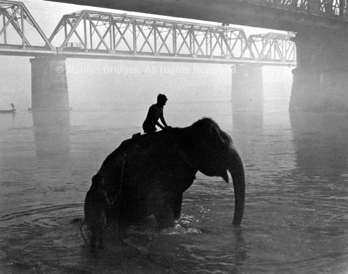 Mahout Riding Elephant in Gandak River at Dawn, 1993. India. copyright photographer Marilyn Bridges