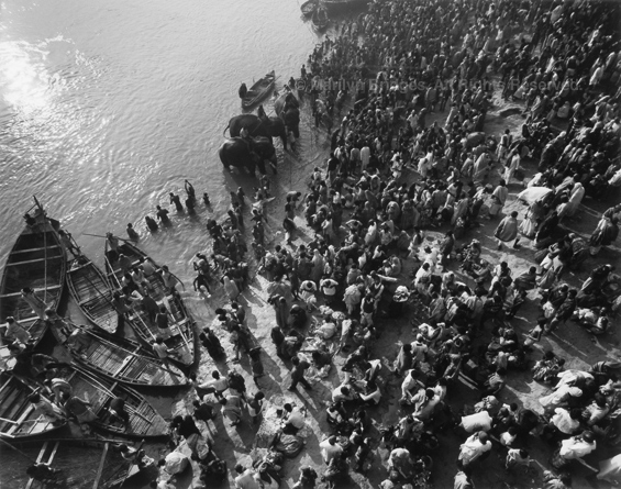 Pilgrims Praying, Elephants and Boats in Holy River, 1993. India. copyright photographer Marilyn Bridges